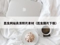 酒泉昆虫网站高清照片素材（昆虫图片下载）